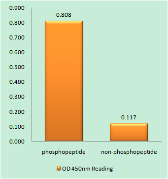 a01898s338 c5ar1 primary antibodies elisa testing 1