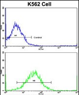 a01917 anti th antibody c term fc testing 4