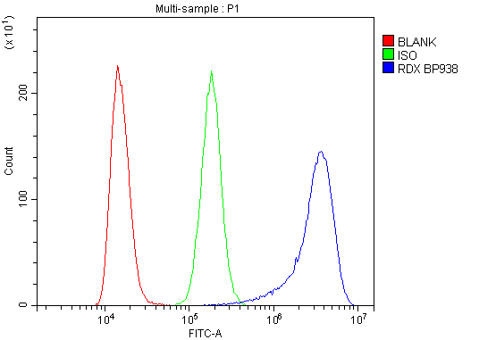 a01926 1 rdx primary antibodies fc testing 4