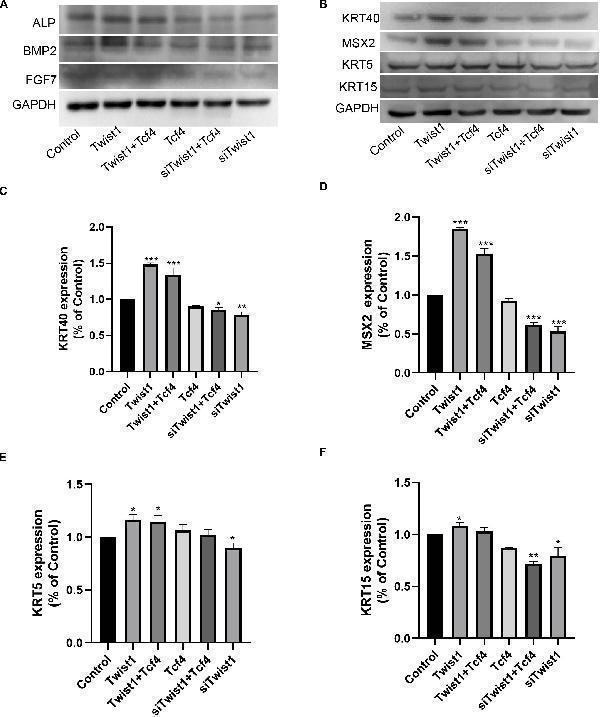 The inductive ability of DPCs