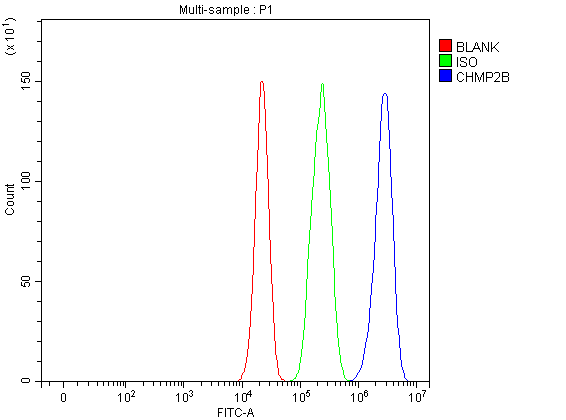 a01935 1 chmp2b primary antibodies fcm testing 1