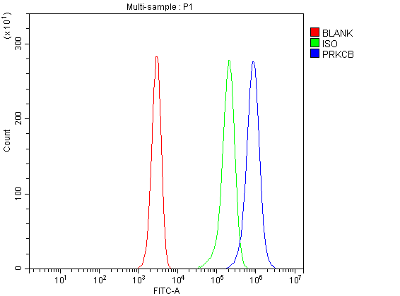 a01940 prkcb primary antibodies fcm testing 3
