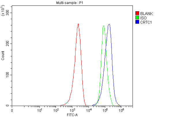 a01951 2 crtc1 primary antibodies fcm testing 1