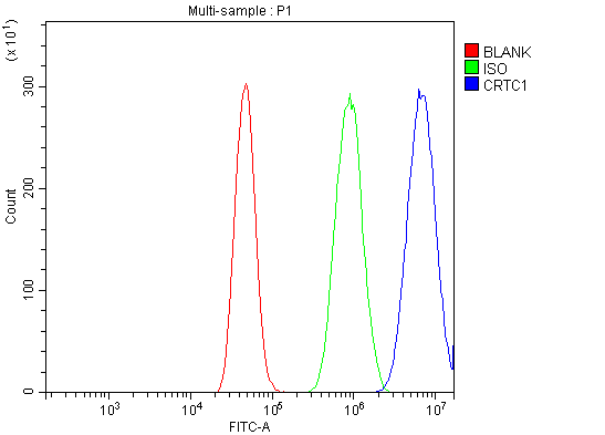 a01951 3 crtc1 primary antibodies fcm testing 7