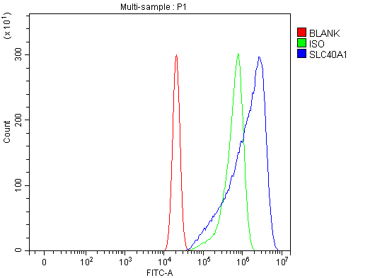 a01953 2 slc40a1 primary antibodies fcm testing 8
