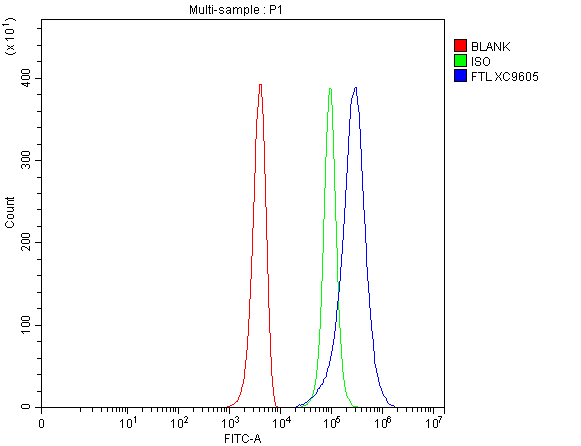Flow Cytometry analysis of 293T cells using anti-Ferritin light chain/FTL antibody (A01956-1)