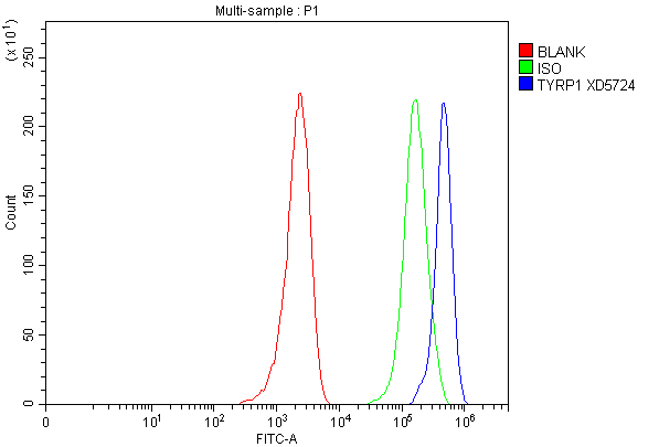 a01959 1 tyrp1 primary antibodies fcm testing 1