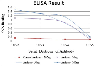 Western Blot analysis using LEDGF Monoclonal Antibody against HepG2 (1), Jurkat (2), K562 (3), Cos7 (4), PC-12 (5), HeLa (6), and NIH/3T3 (7) cell lysate