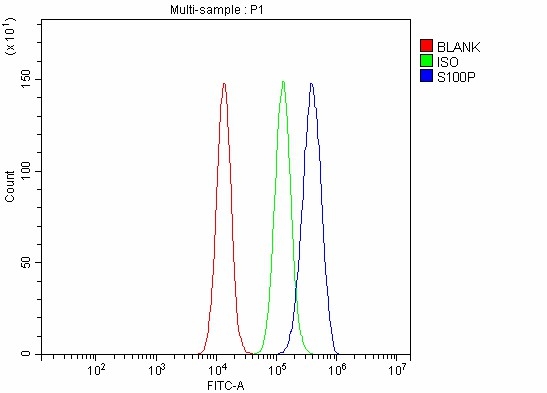  Flow Cytometry analysis of SiHa cells using anti-S100P antibody (A01963-2)