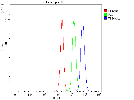 Flow Cytometry analysis of A549 cells using anti-CHRNA3 antibody (A01981-1)
