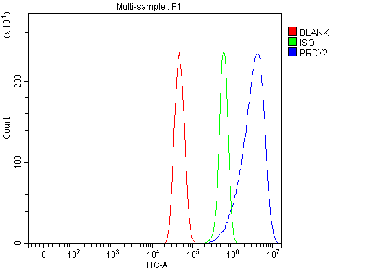  Flow Cytometry analysis of U251 cells using anti-Peroxiredoxin 2/PRDX2 antibody (A01982-2)
