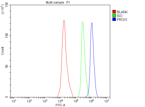 a01985 1 prox1 primary antibodies fcm testing 1