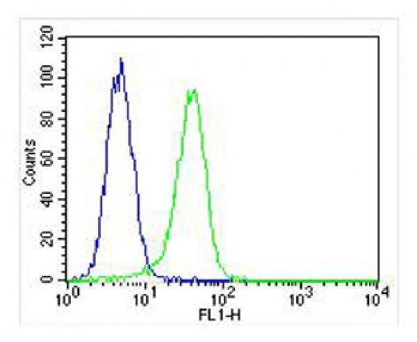 a01985 anti prox 1 s514 antibody fc testing 3