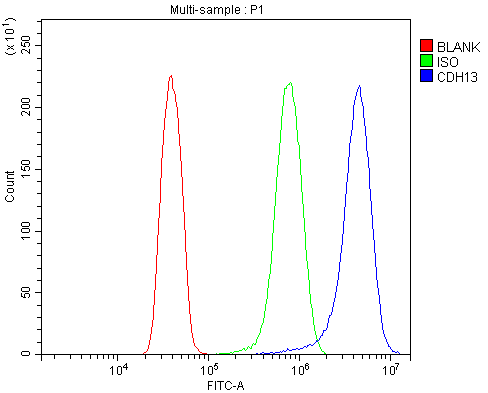 a01986 1 cdh13 primary antibodies fcm testing 10