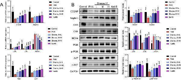 a01991 fphar 15 1447249 g006