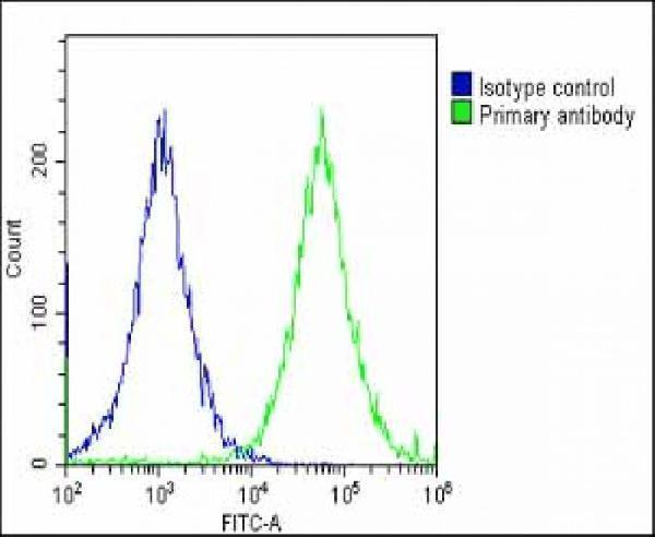 a02007 1 anti igf2bp1 antibody c term fc testing 4
