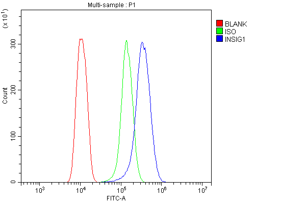 a02026 1 insig1 primary antibodies fcm testing 2