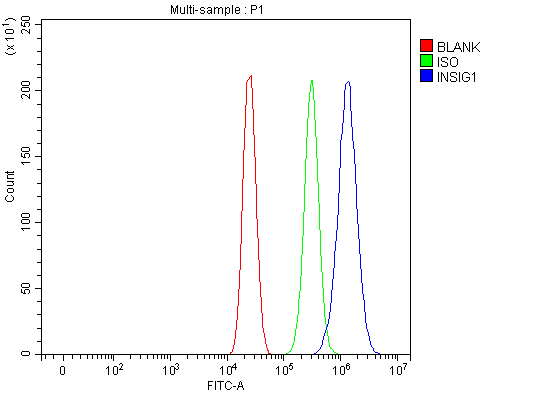 a02026 2 insig1 primary antibodies fcm testing 4