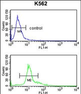 a02034 1 anti serpinf1 antibody center fc testing 3