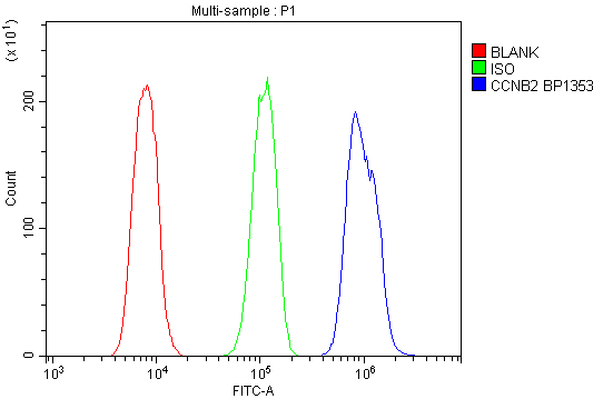 a02040 1 ccnb2 primary antibodies fc testing 4