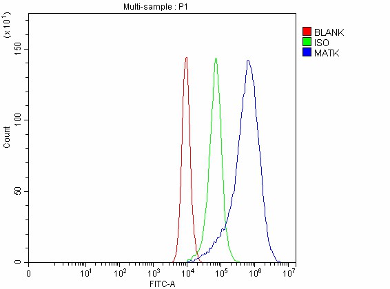 a02050 2 matk primary antibodies fcm testing 7