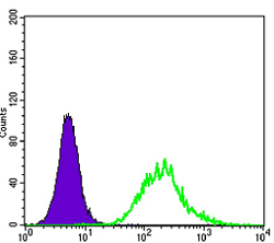 Flow cytometric analysis of K562 cells using Lsk Monoclonal Antibody (green) and negative control (purple)