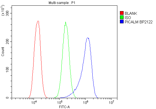 a02053 1 picalm primary antibodies fc testing 4