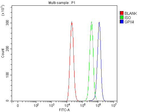 a02059 1 gpx4 primary antibodies fcm testing 1