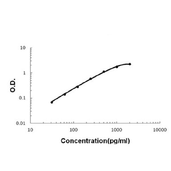 a02062 2 il17f primary antibodies elisa testing 2
