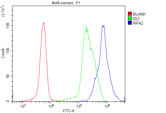 a02067 1 rpa2 primary antibodies fcm testing 5