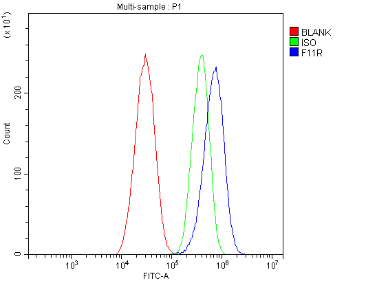 a02068 2 f11r primary antibodies fcm testing 3