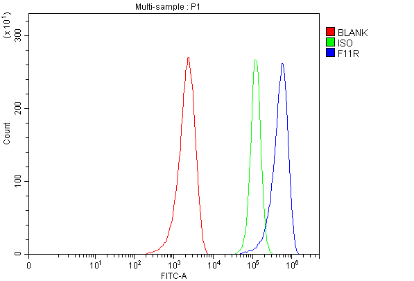 a02068 3 f11r primary antibodies fcm testing 4