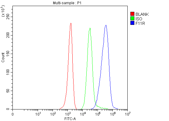a02068 3 f11r primary antibodies fcm testing 5