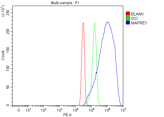  Flow Cytometry analysis of SiHa cells using anti-MAPRE1 antibody (A02070-1)