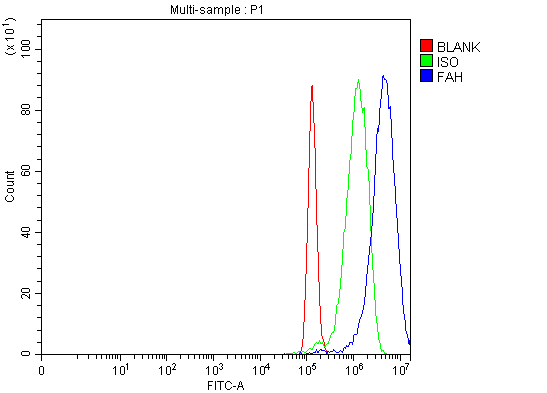 a02072 1 fah primary antibodies fcm testing 5