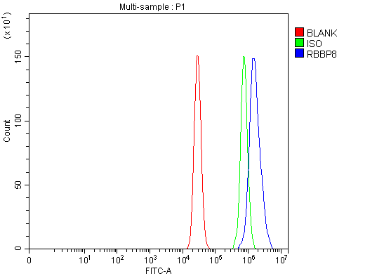 a02076 2 rbbp8 primary antibodies fcm testing 6