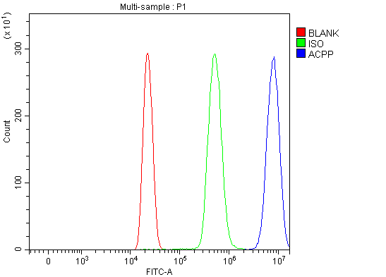a02082 2 acpp primary antibodies fcm testing 6