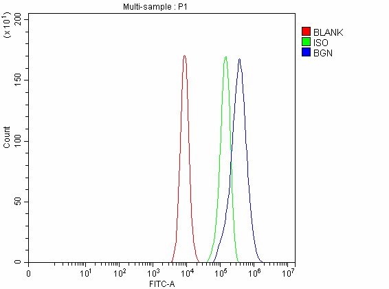 a02090 2 bgn primary antibodies fcm testing 4