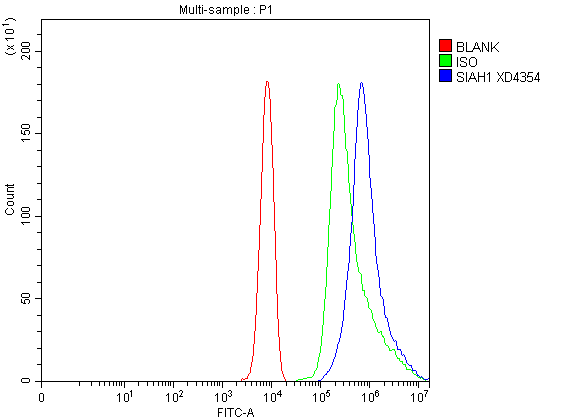 a02095 1 siah1 primary antibodies fcm testing 1