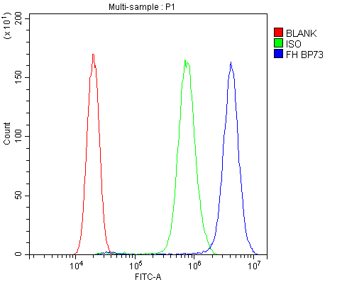 a02097 fh primary antibodies fc testing 8