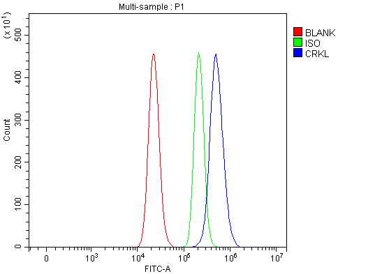 a02100 1 crkl primary antibodies fcm testing 3