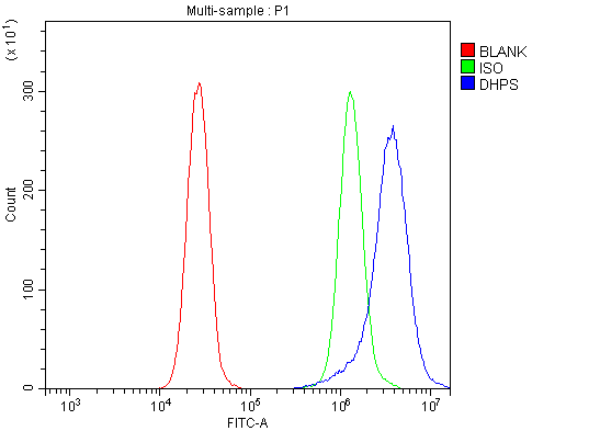 a02106 2 dhps primary antibodies fcm testing 5