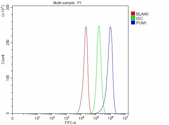  Flow Cytometry analysis of U251 cells using anti-PUM1 antibody (A02111-2)