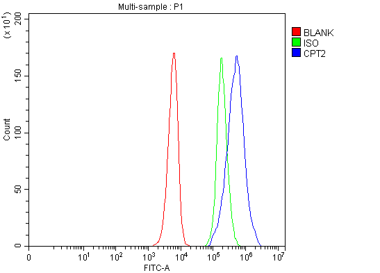 a02112 1 cpt2 primary antibodies fcm testing 1