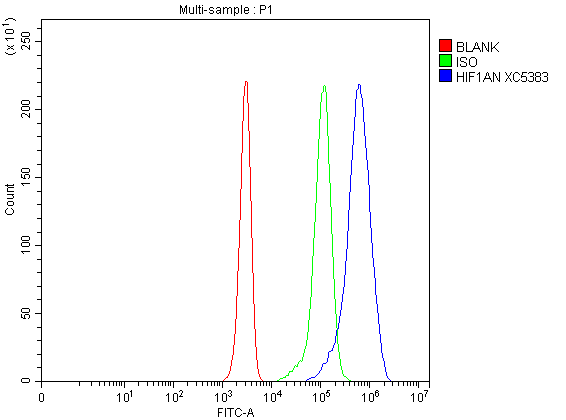 Flow Cytometry analysis of Jurkat cells using anti-HIF1AN antibody (A02116-2)