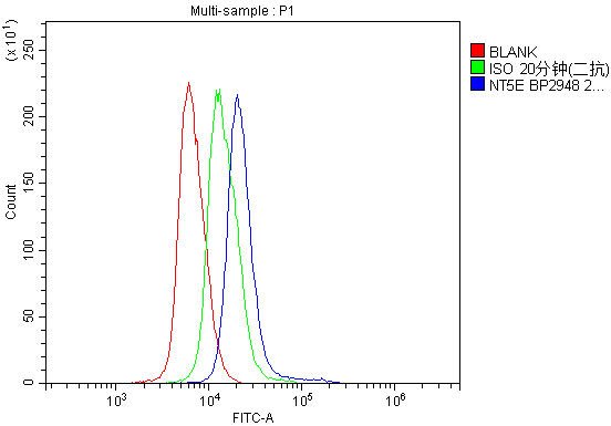  Flow Cytometry analysis of mouse spleen tissues using anti-CD73/Nt5e antibody (A02120-2)