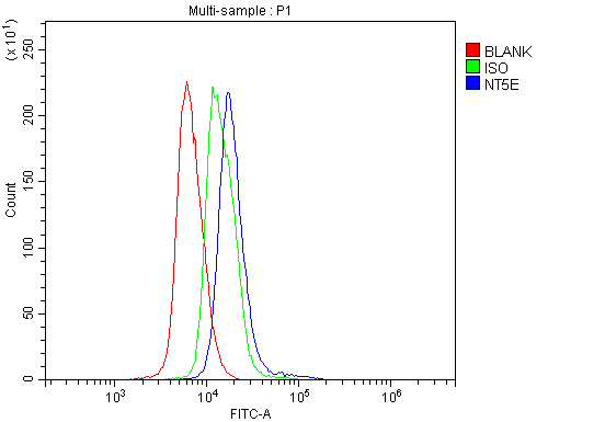 a02120 2 nt5e primary antibodies fcm testing 4