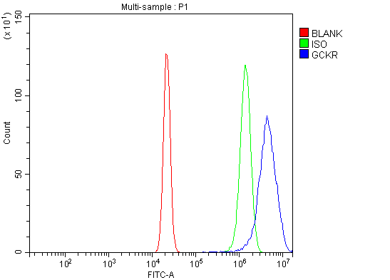  Flow Cytometry analysis of U20S cells using anti-GCKR antibody (A02122-2)