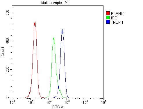 a02135 1 trem1 primary antibodies fc testing 2