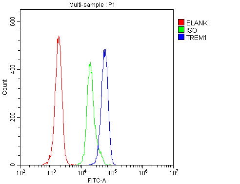 Flow Cytometry analysis of H-PBMC cells using anti-TREM1 antibody (A02135-1). Overlay histogram showing H-PBMC cells stained with A02135-1 (Blue line).The cells were blocked with 10% normal goat serum. And then incubated with rabbit anti-TREM1 Antibody (A02135-1,1μg/1x106 cells) for 30 min at 20°C. DyLight®488 conjugated goat anti-rabbit IgG (BA1127, 5-10μg/1x106 cells) was used as secondary antibody for 30 minutes at 20°C. Isotype control antibody (Green line) was rabbit IgG (1μg/1x106) used under the same conditions. Unlabelled sample (Red line) was also used as a control.